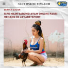 Tips Main Sabung Ayam Online Pasti Menang di Javabetsport