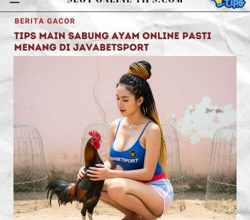 Tips Main Sabung Ayam Online Pasti Menang di Javabetsport